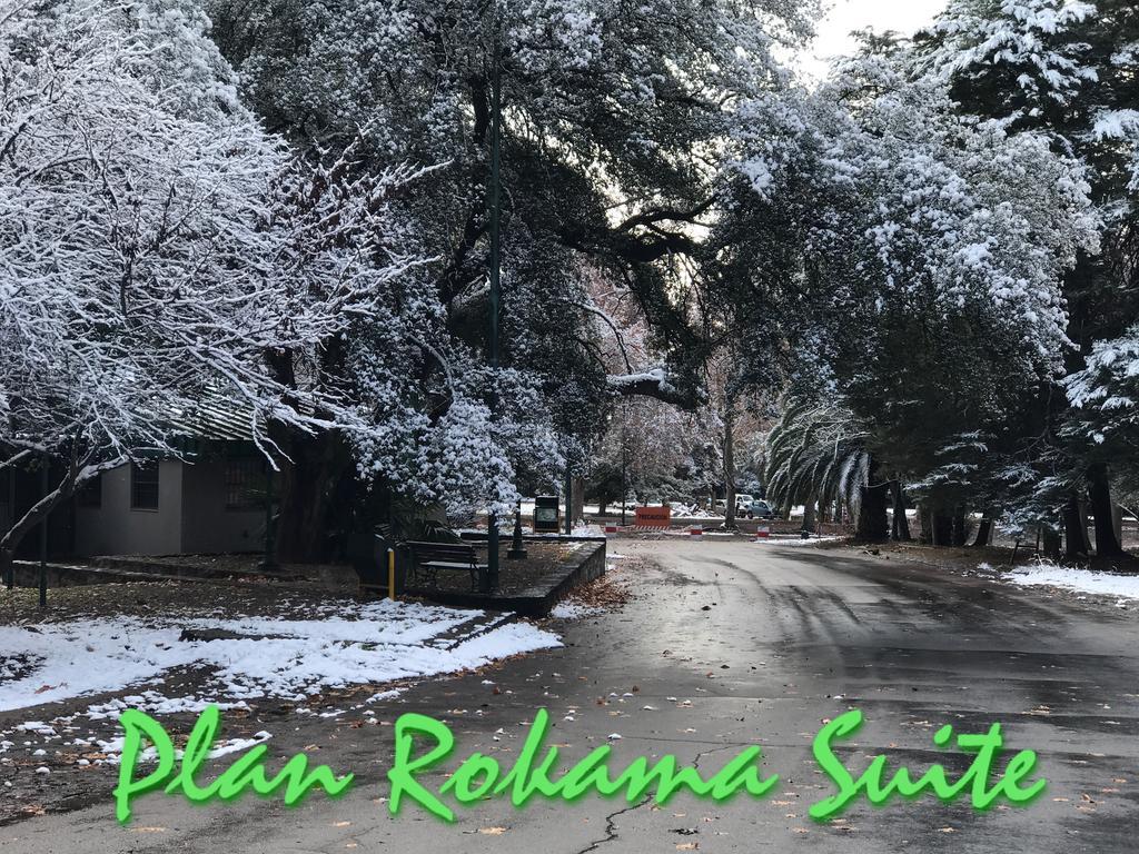 Plan Rokama Suite 586 Mendoza Buitenkant foto